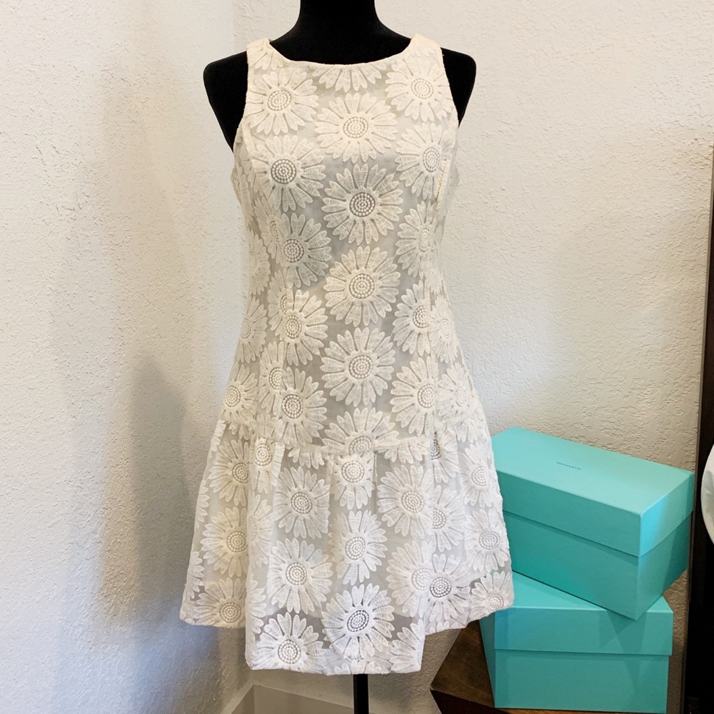 Banana Republic drop waist dress